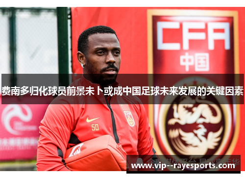 费南多归化球员前景未卜或成中国足球未来发展的关键因素