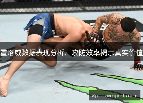 霍洛威数据表现分析，攻防效率揭示真实价值